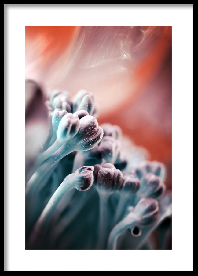 Poster - Redness