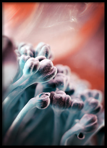 Poster - Redness