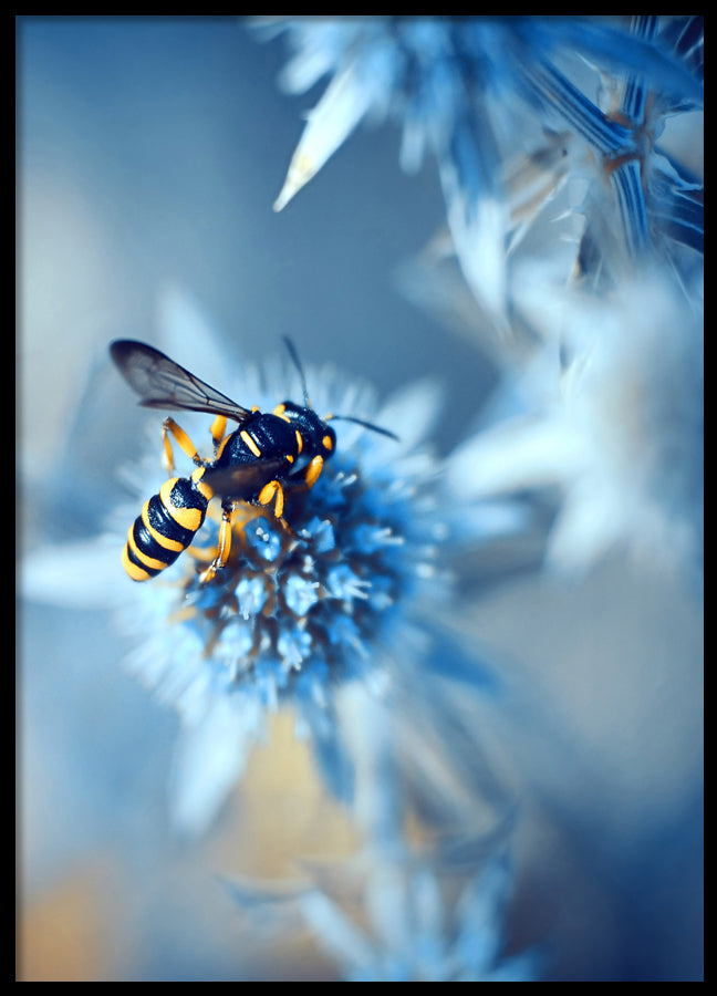 Poster - Honeybee