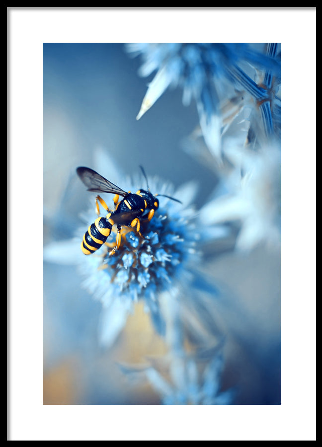 Poster - Honeybee