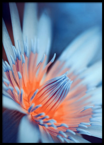Poster - Azure