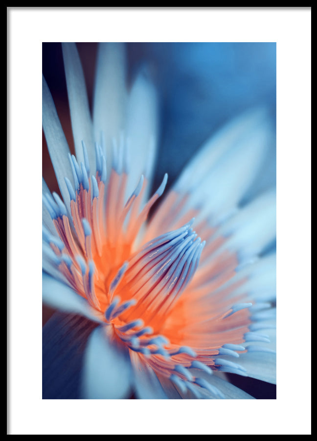 Poster - Azure