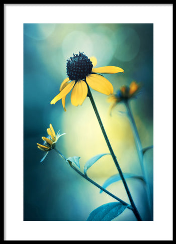 Poster - Sunflower