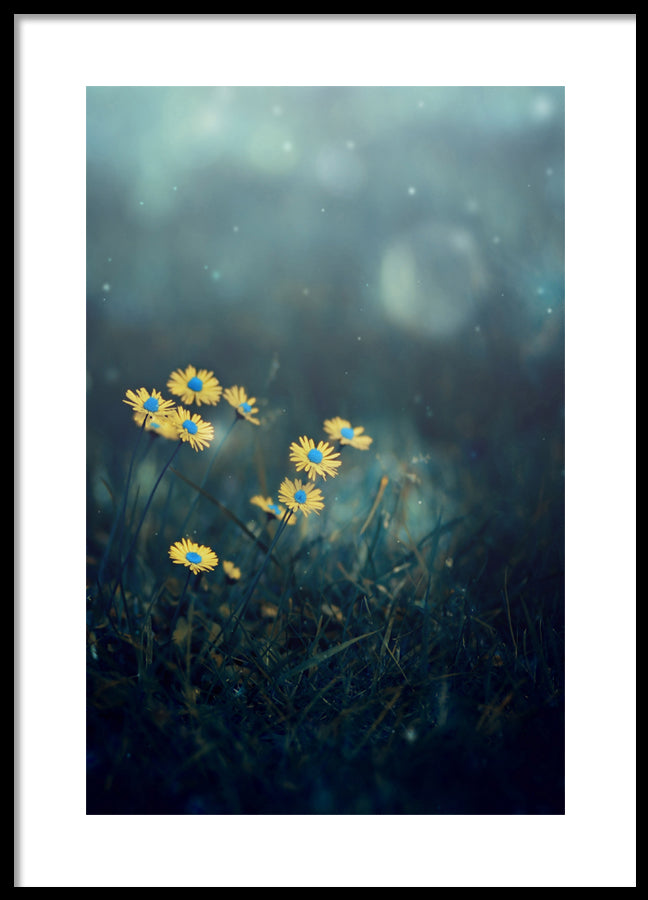 Poster - Incredible blue