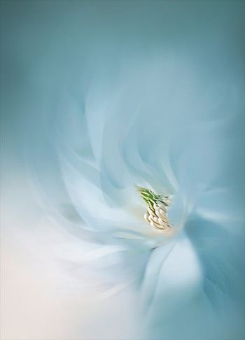 Poster - Light blue