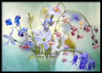 Poster - Wild flowers