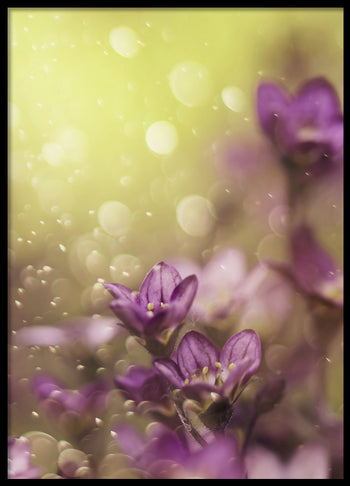 Poster - Lovelly purple