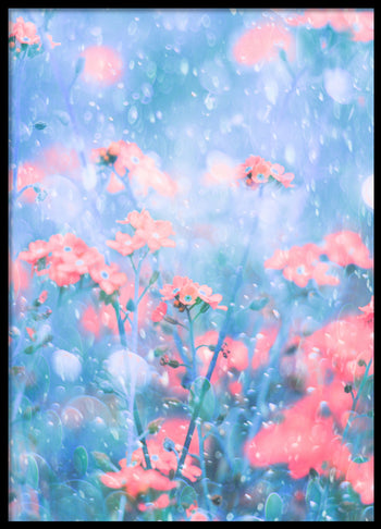 Poster - Melodious