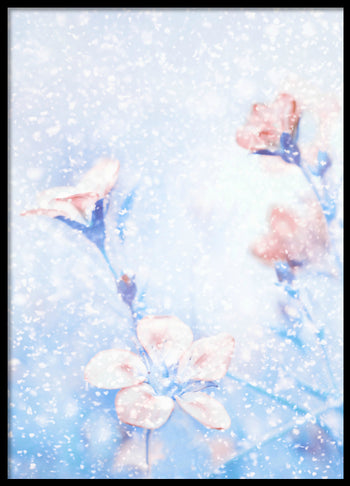Poster - Snowflake