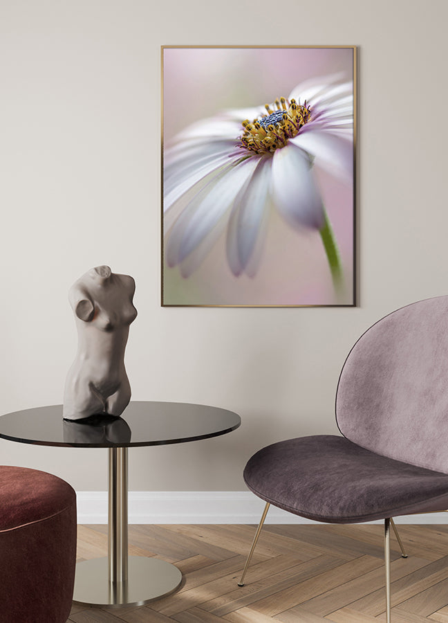 Poster - Michaelmas daisy