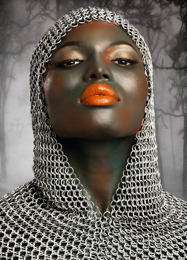 Poster - The Warrior
