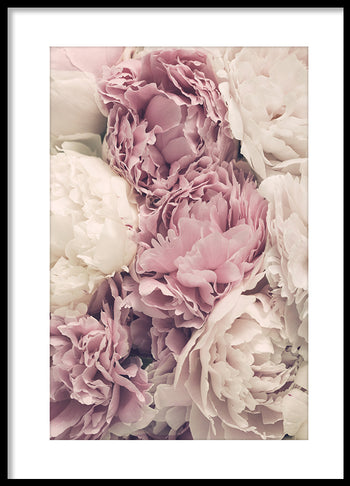 Poster - Botany