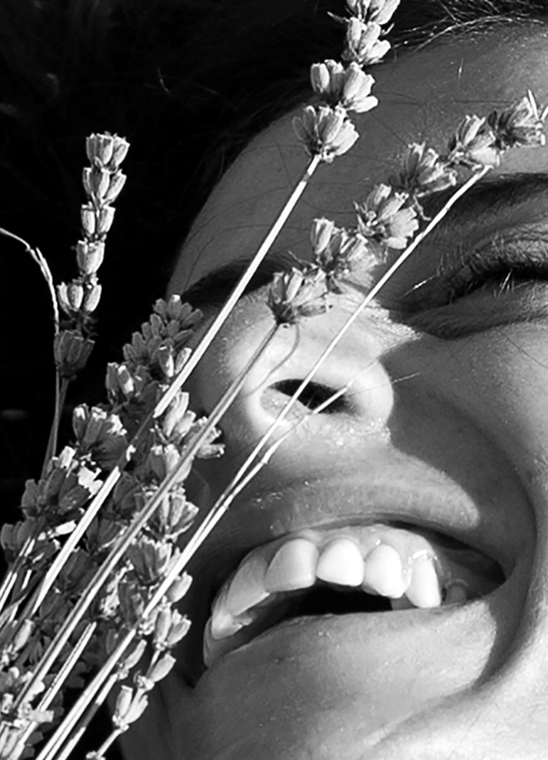 Tavla - Liveliness