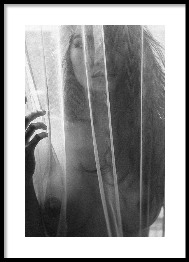 Poster - Veil