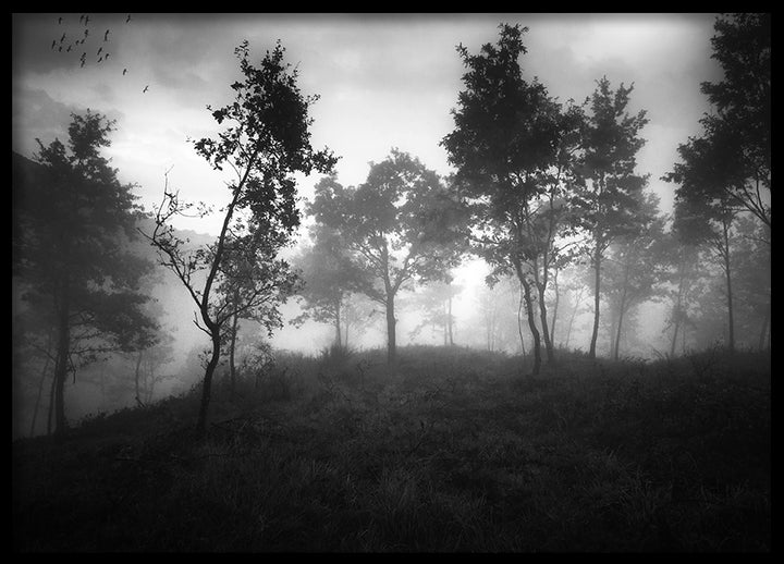 Poster - Ethereal Moody Moments
