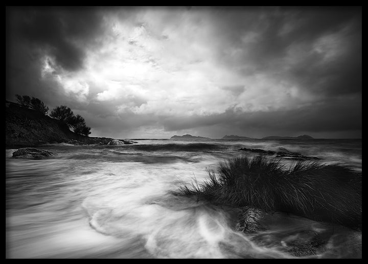Poster - Rushes in the sea