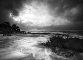 Poster - Rushes in the sea