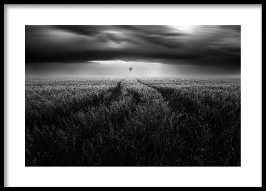 Poster - Singularity