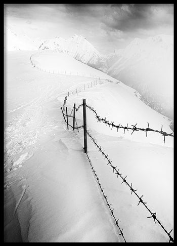 Poster - Into the White