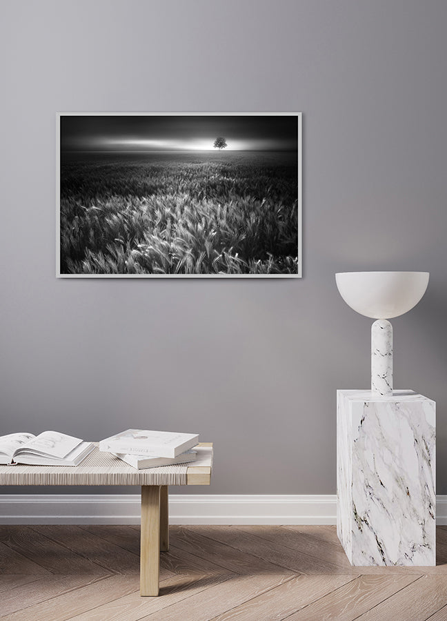 Poster - Bucolic Sunrises