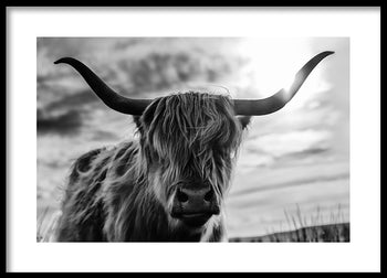 Poster - Scottish Long