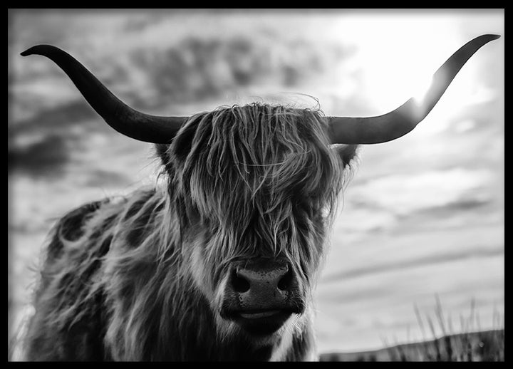 Poster - Scottish Long