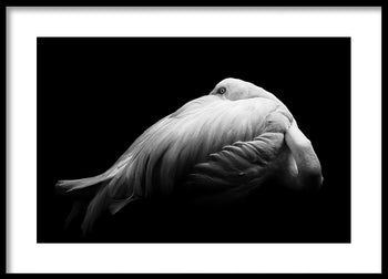 Poster - Beauty in Dark