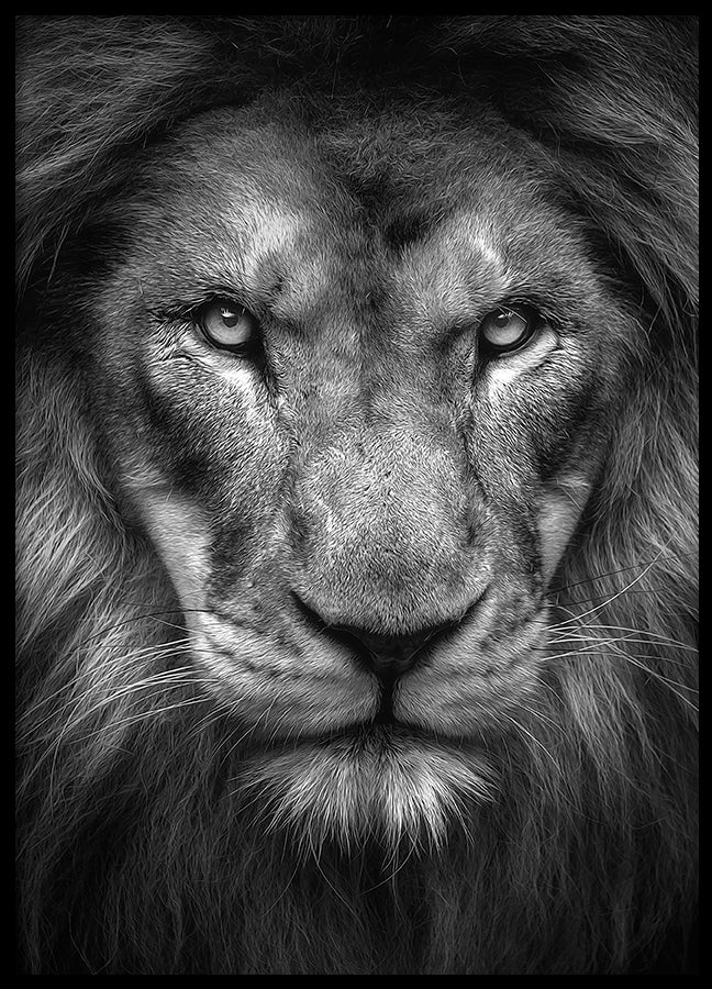 Poster - King
