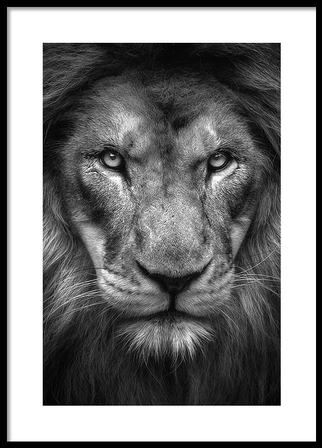 Poster - King