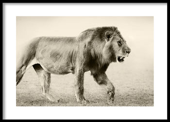 Poster - Botswana
