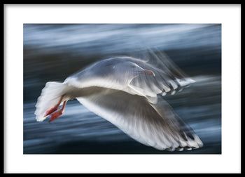 Poster - Seagull