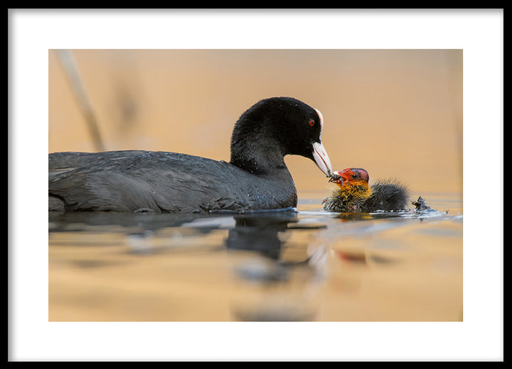 Poster - Motherhood