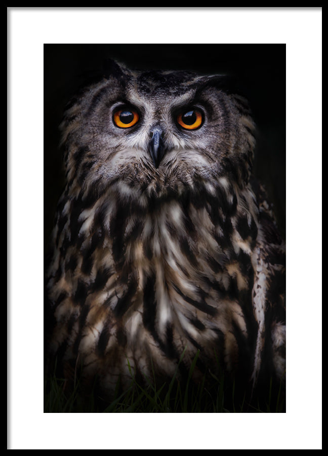 Poster - The Wise