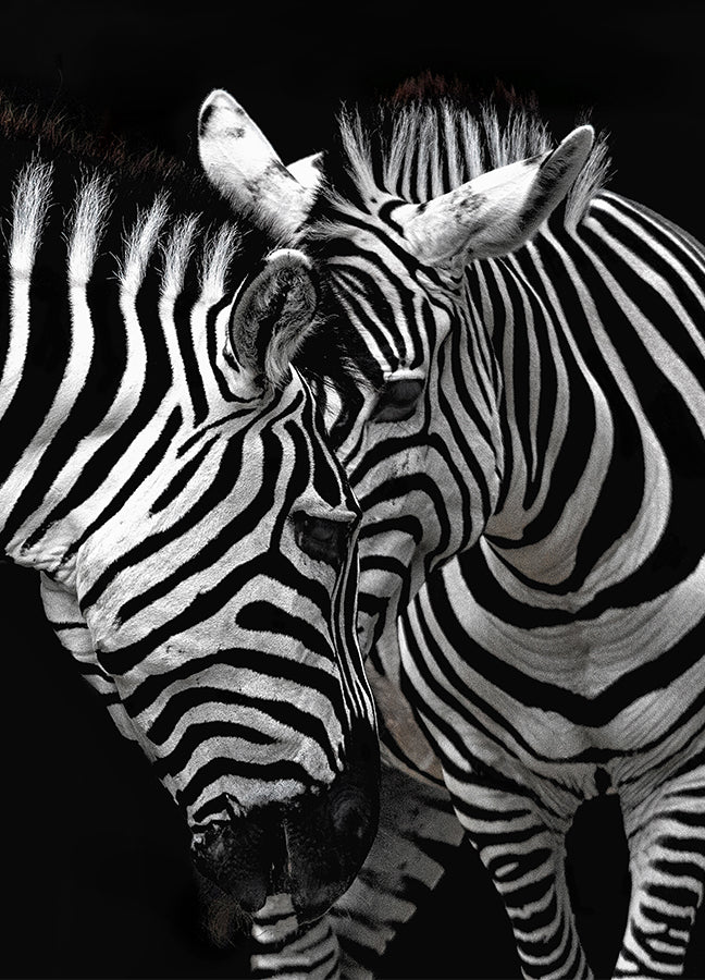 Poster - Stripes