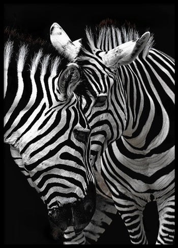 Poster - Stripes
