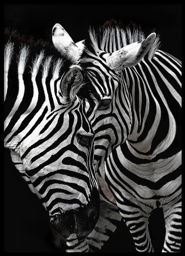 Poster - Stripes