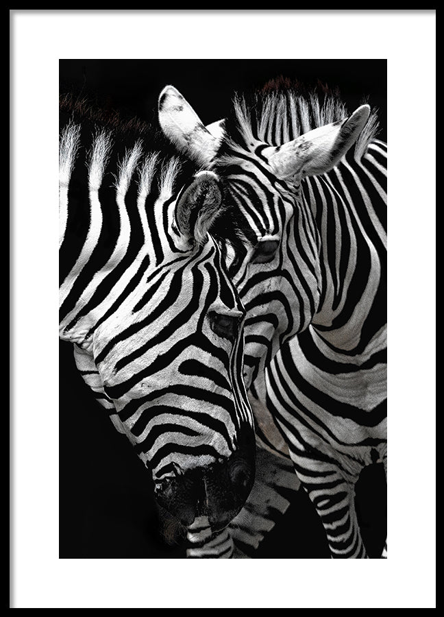 Poster - Stripes