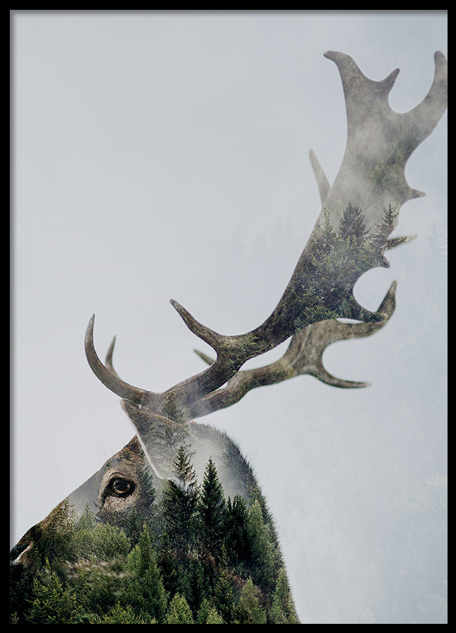 Poster - Antler