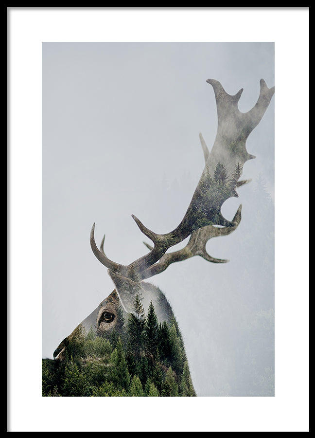 Poster - Antler