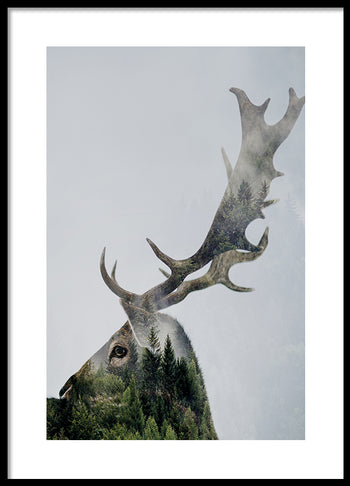 Poster - Antler