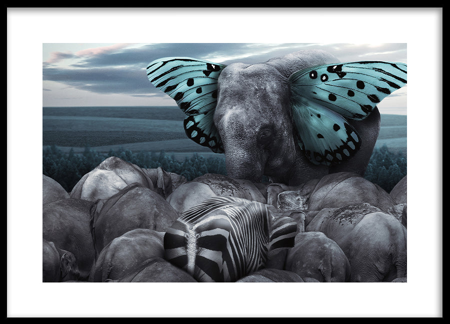 Poster - Fly on Wings of Dreams