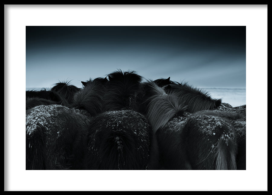 Poster - Blue Down
