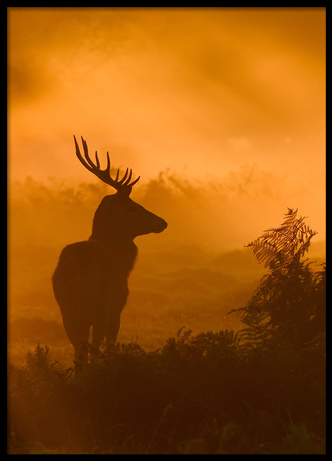 Poster - Misty Morning