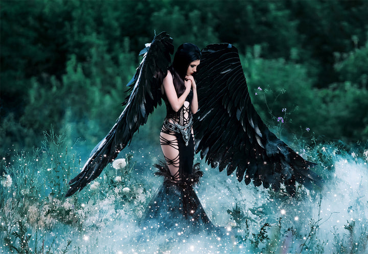 Tavla - Aviana