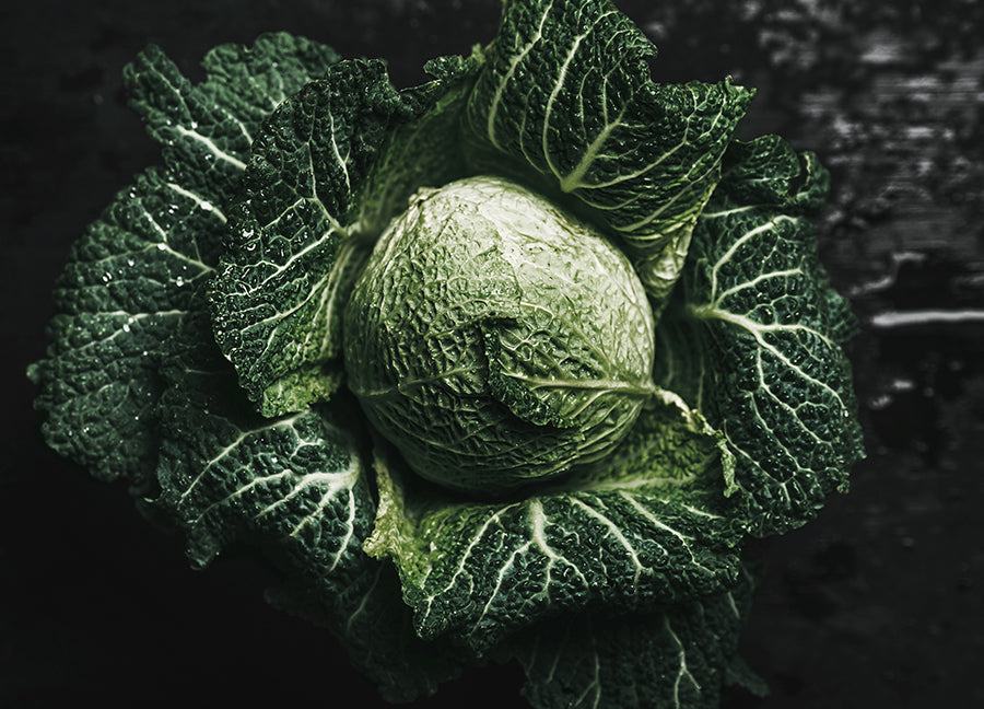 Poster - Green Cabbage