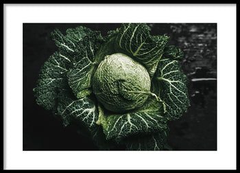 Poster - Green Cabbage