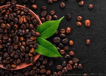 Poster - Arabica