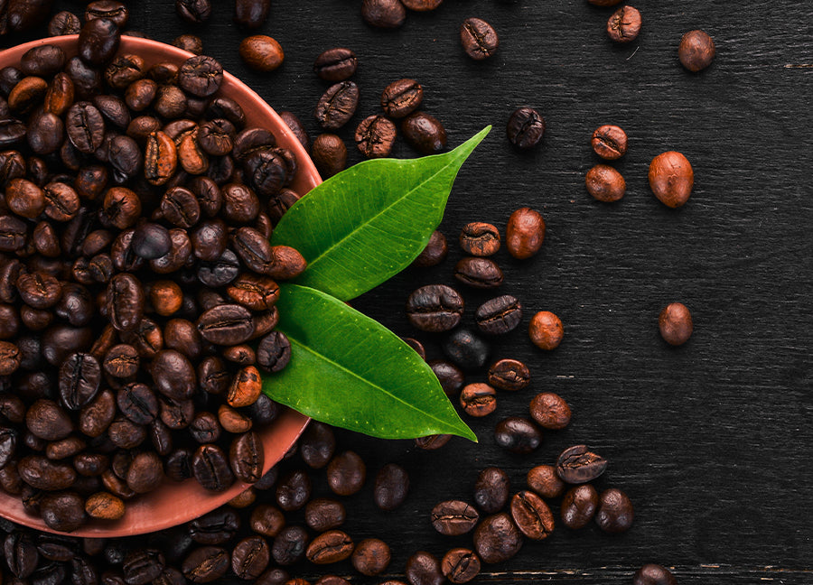 Poster - Arabica