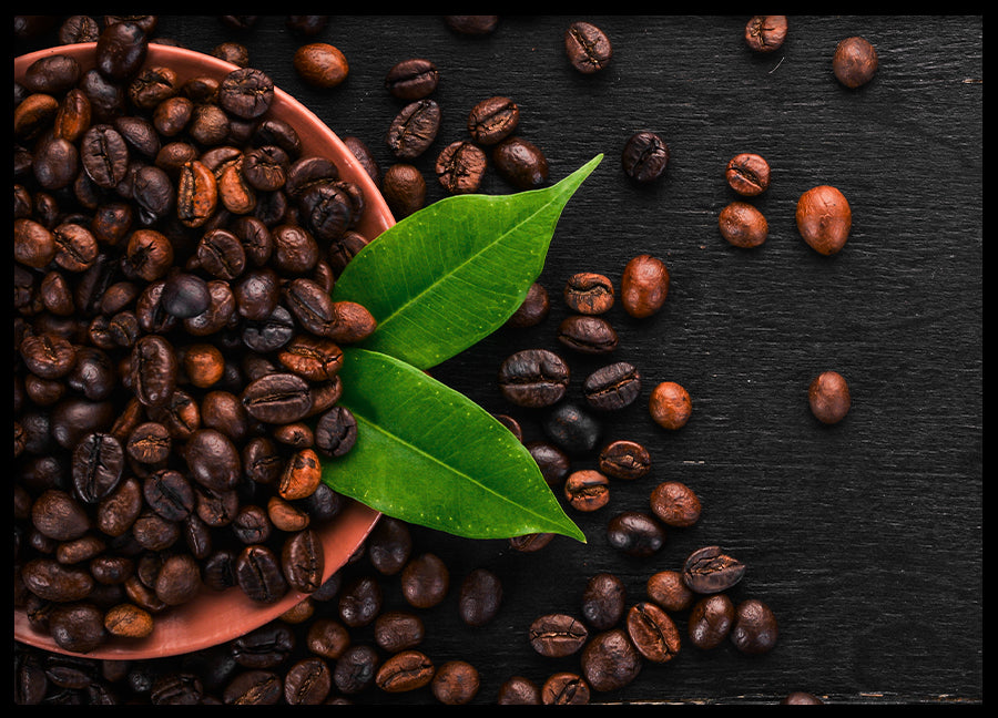 Poster - Arabica