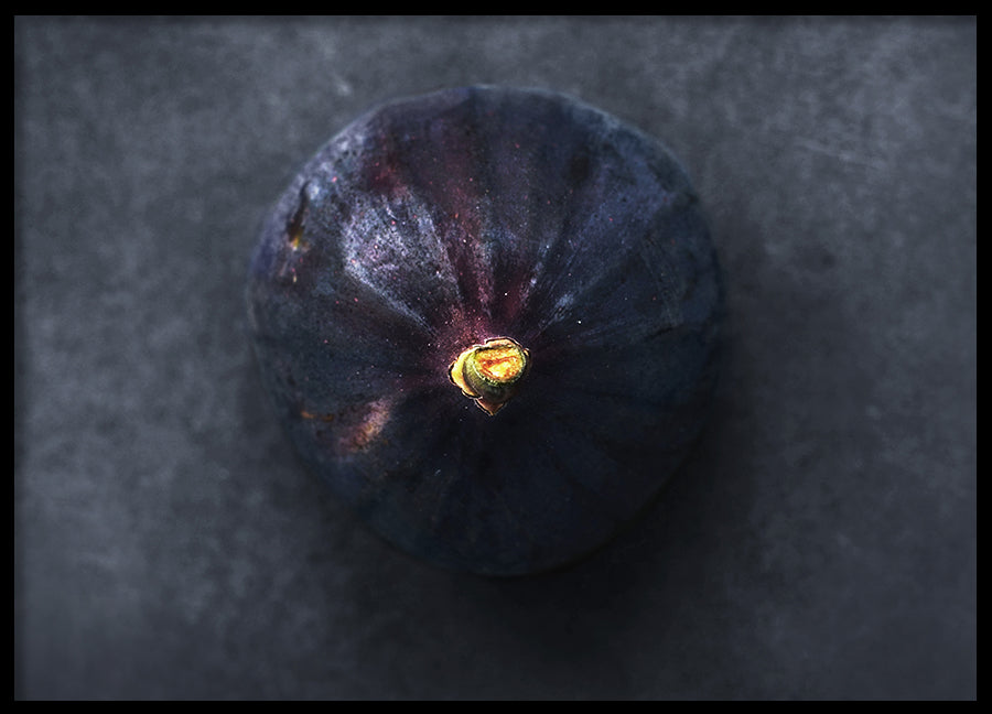 Poster - Fig